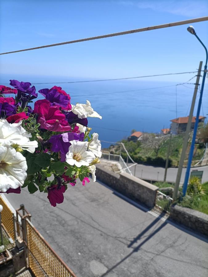 Casa Teranga Hotel Furore Eksteriør billede
